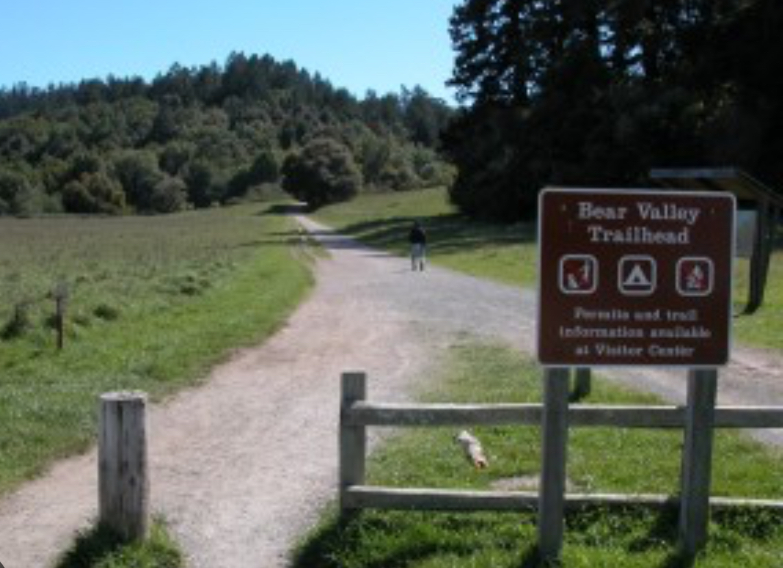 Pt. Reyes Coastal Wildflower Hike